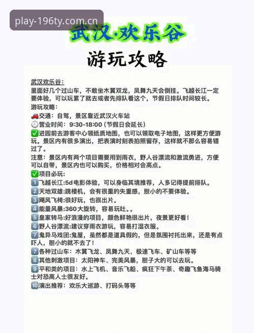 196娱乐平台攻略完整指南：从入门到精通的深度解析